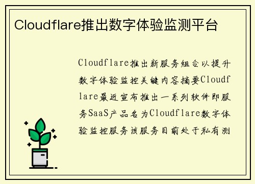 Cloudflare推出数字体验监测平台 