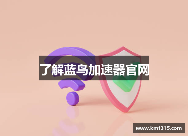 了解蓝鸟加速器官网